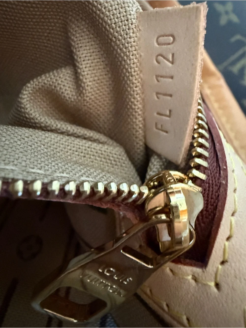 Louis Vuitton Monogram Delightful MM Canvas Bag Handbag